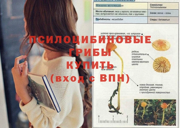 mdma Куйбышев