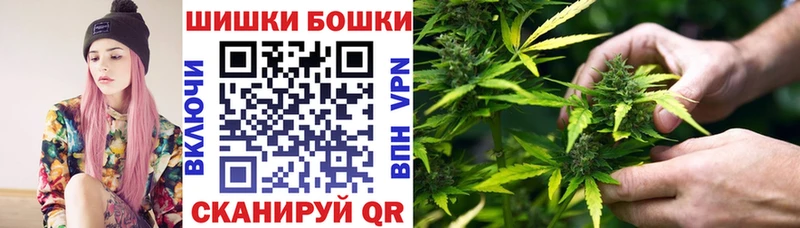 Купить закладки  Удачный  Шишки марихуана индика 